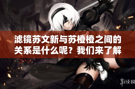 滤镜苏文新与苏橙橙之间的关系是什么呢？我们来了解一下彼此的联系。