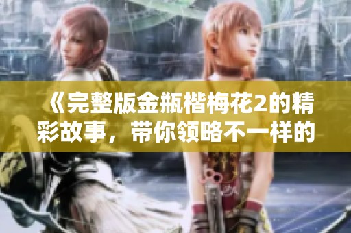 《完整版金瓶楷梅花2的精彩故事，带你领略不一样的风情》