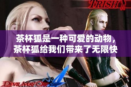 茶杯狐是一种可爱的动物，茶杯狐给我们带来了无限快乐与温暖