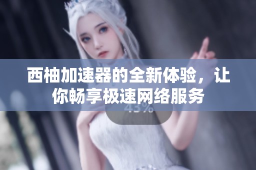 西柚加速器的全新体验，让你畅享极速网络服务