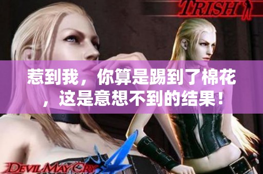 惹到我，你算是踢到了棉花，这是意想不到的结果！