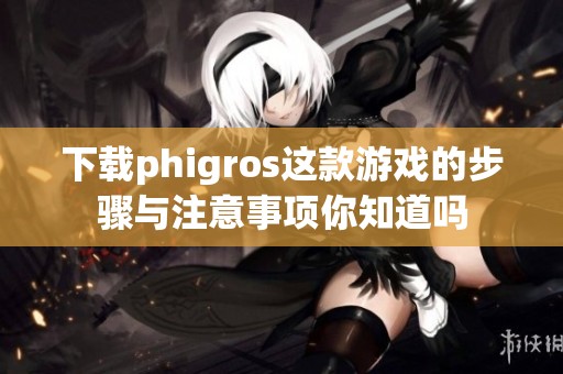 下载phigros这款游戏的步骤与注意事项你知道吗