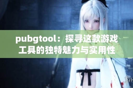 pubgtool：探寻这款游戏工具的独特魅力与实用性