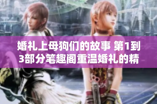 婚礼上母狗们的故事 第1到3部分笔趣阁重温婚礼的精彩与感动