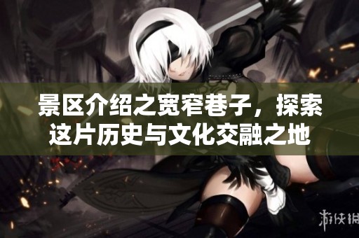 景区介绍之宽窄巷子，探索这片历史与文化交融之地