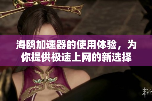 海鸥加速器的使用体验，为你提供极速上网的新选择