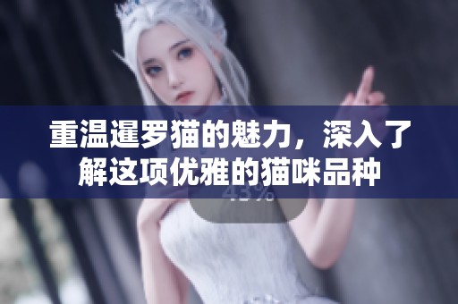 重温暹罗猫的魅力，深入了解这项优雅的猫咪品种