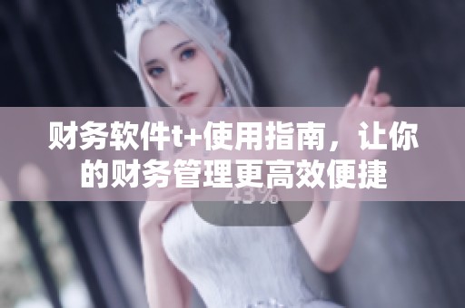 财务软件t+使用指南，让你的财务管理更高效便捷