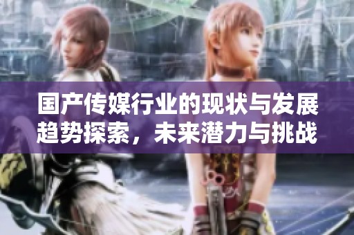 国产传媒行业的现状与发展趋势探索，未来潜力与挑战并存