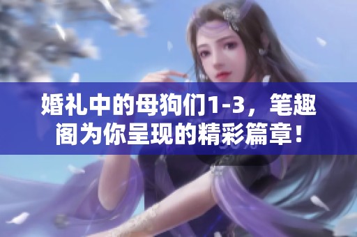 婚礼中的母狗们1-3，笔趣阁为你呈现的精彩篇章！