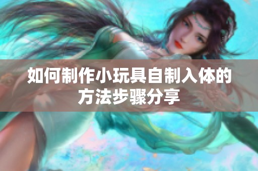 如何制作小玩具自制入体的方法步骤分享