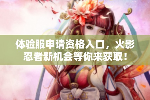 体验服申请资格入口，火影忍者新机会等你来获取！