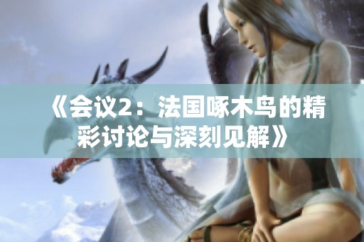 《会议2：法国啄木鸟的精彩讨论与深刻见解》