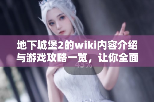 地下城堡2的wiki内容介绍与游戏攻略一览，让你全面了解这款游戏