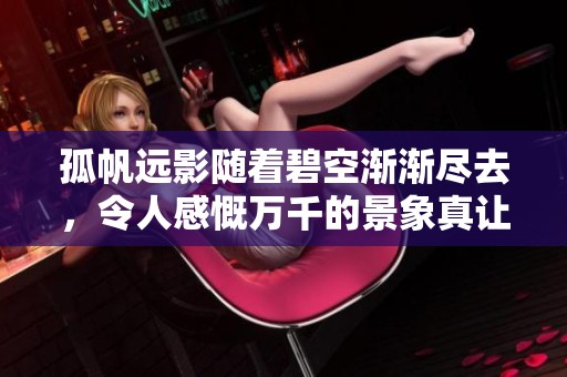 孤帆远影随着碧空渐渐尽去，令人感慨万千的景象真让人沉醉