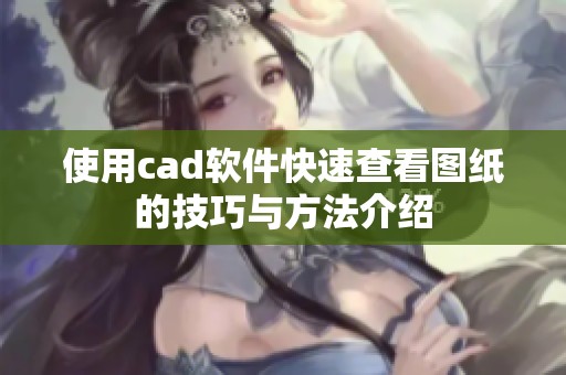 使用cad软件快速查看图纸的技巧与方法介绍