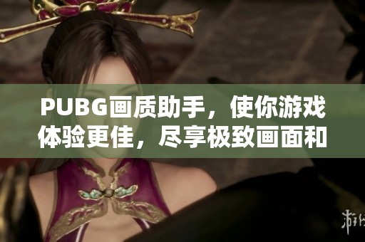 PUBG画质助手，使你游戏体验更佳，尽享极致画面和流畅操作。