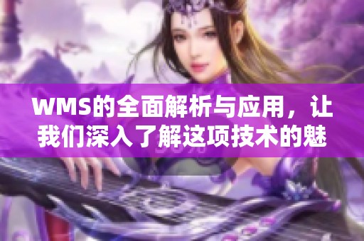 WMS的全面解析与应用，让我们深入了解这项技术的魅力与价值