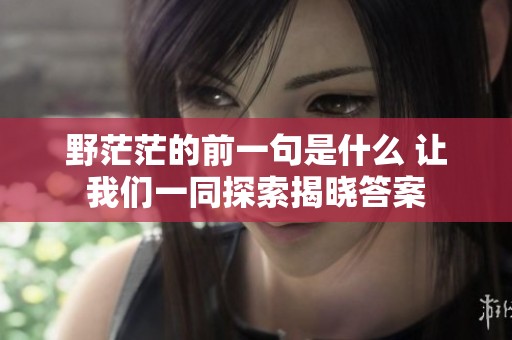 野茫茫的前一句是什么 让我们一同探索揭晓答案