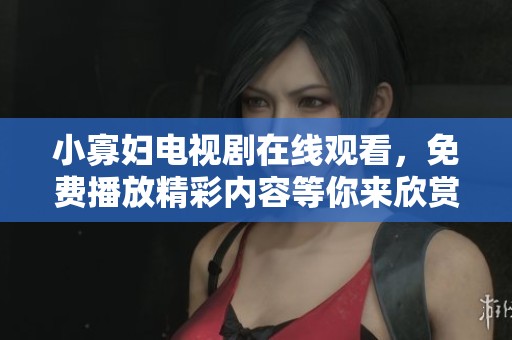 小寡妇电视剧在线观看，免费播放精彩内容等你来欣赏