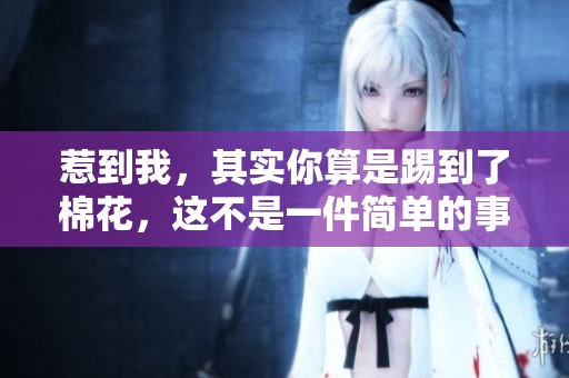 惹到我，其实你算是踢到了棉花，这不是一件简单的事情。