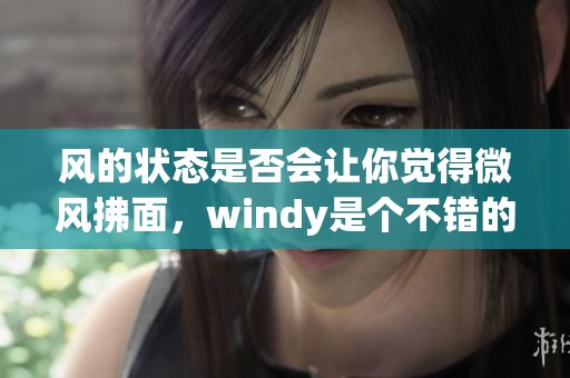 风的状态是否会让你觉得微风拂面，windy是个不错的选择吗