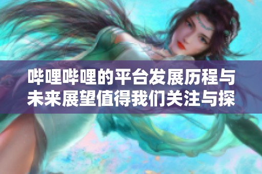 哔哩哔哩的平台发展历程与未来展望值得我们关注与探讨
