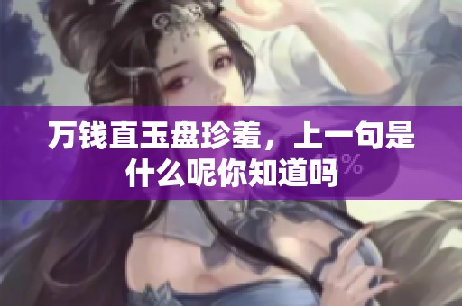 万钱直玉盘珍羞，上一句是什么呢你知道吗