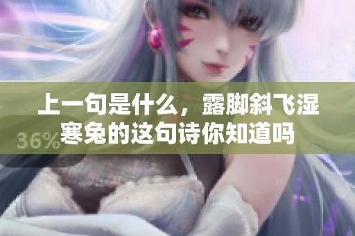 上一句是什么，露脚斜飞湿寒兔的这句诗你知道吗