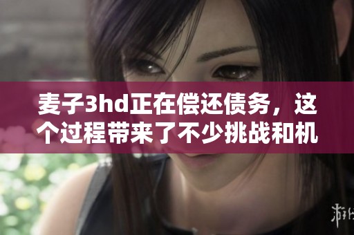 麦子3hd正在偿还债务，这个过程带来了不少挑战和机遇。
