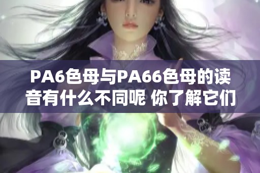 PA6色母与PA66色母的读音有什么不同呢 你了解它们的发音规则吗