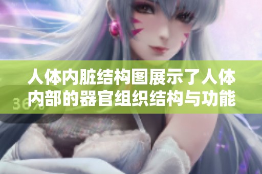 人体内脏结构图展示了人体内部的器官组织结构与功能，带您深入了解重要构造。