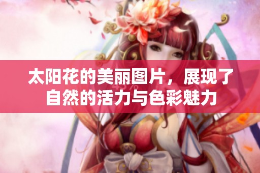 太阳花的美丽图片，展现了自然的活力与色彩魅力