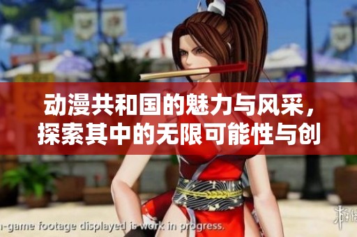 动漫共和国的魅力与风采，探索其中的无限可能性与创意。