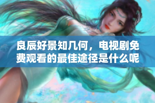 良辰好景知几何，电视剧免费观看的最佳途径是什么呢