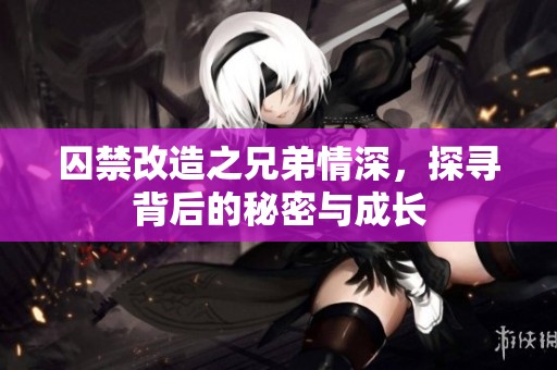 囚禁改造之兄弟情深，探寻背后的秘密与成长