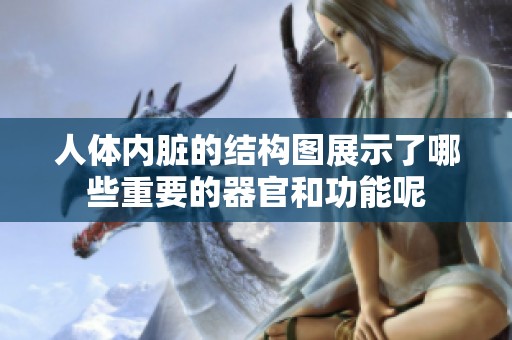 人体内脏的结构图展示了哪些重要的器官和功能呢