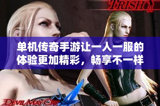 单机传奇手游让一人一服的体验更加精彩，畅享不一样的游戏乐趣