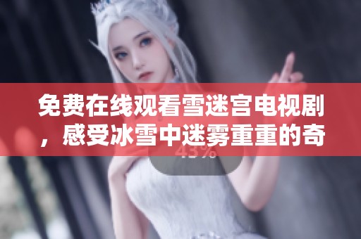 免费在线观看雪迷宫电视剧，感受冰雪中迷雾重重的奇幻旅程