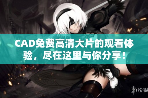 CAD免费高清大片的观看体验，尽在这里与你分享！