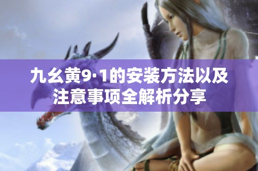 九幺黄9·1的安装方法以及注意事项全解析分享