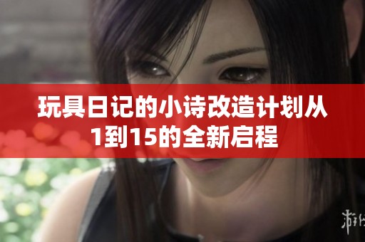 玩具日记的小诗改造计划从1到15的全新启程