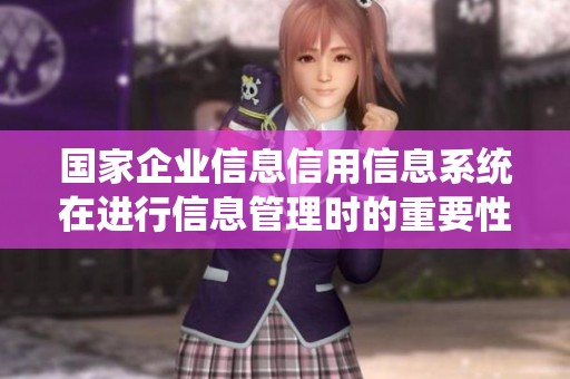 国家企业信息信用信息系统在进行信息管理时的重要性分析与探讨