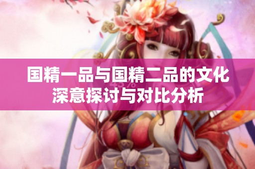 国精一品与国精二品的文化深意探讨与对比分析