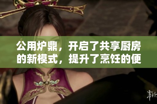公用炉鼎，开启了共享厨房的新模式，提升了烹饪的便捷性与效率