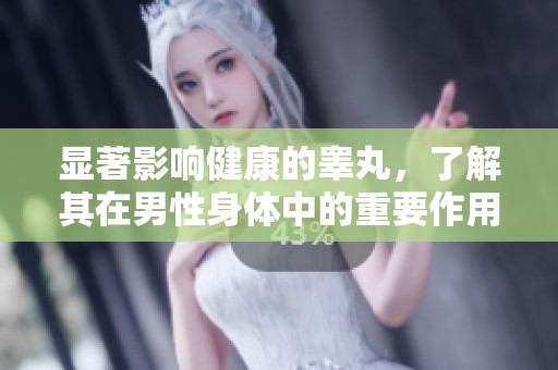 显著影响健康的睾丸，了解其在男性身体中的重要作用与疾病风险