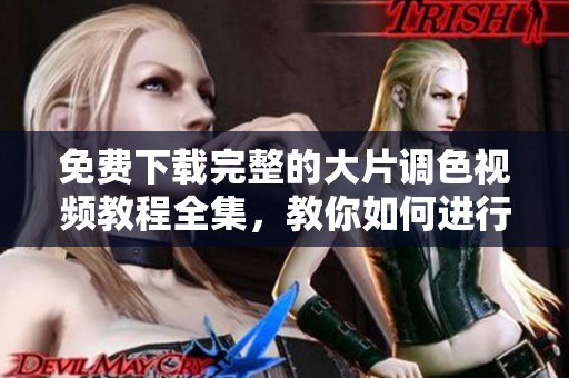 免费下载完整的大片调色视频教程全集，教你如何进行视频制作与编辑