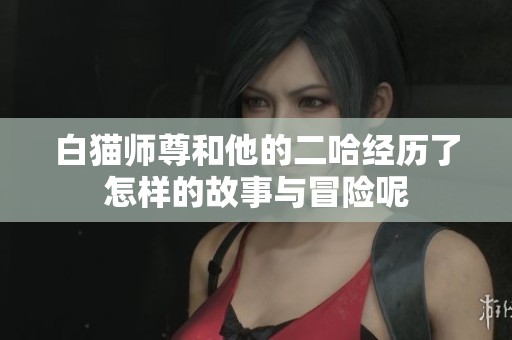 白猫师尊和他的二哈经历了怎样的故事与冒险呢