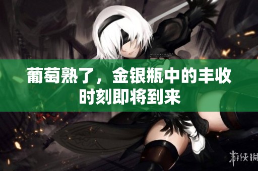 葡萄熟了，金银瓶中的丰收时刻即将到来