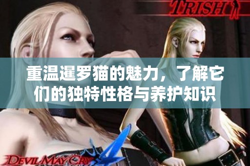 重温暹罗猫的魅力，了解它们的独特性格与养护知识